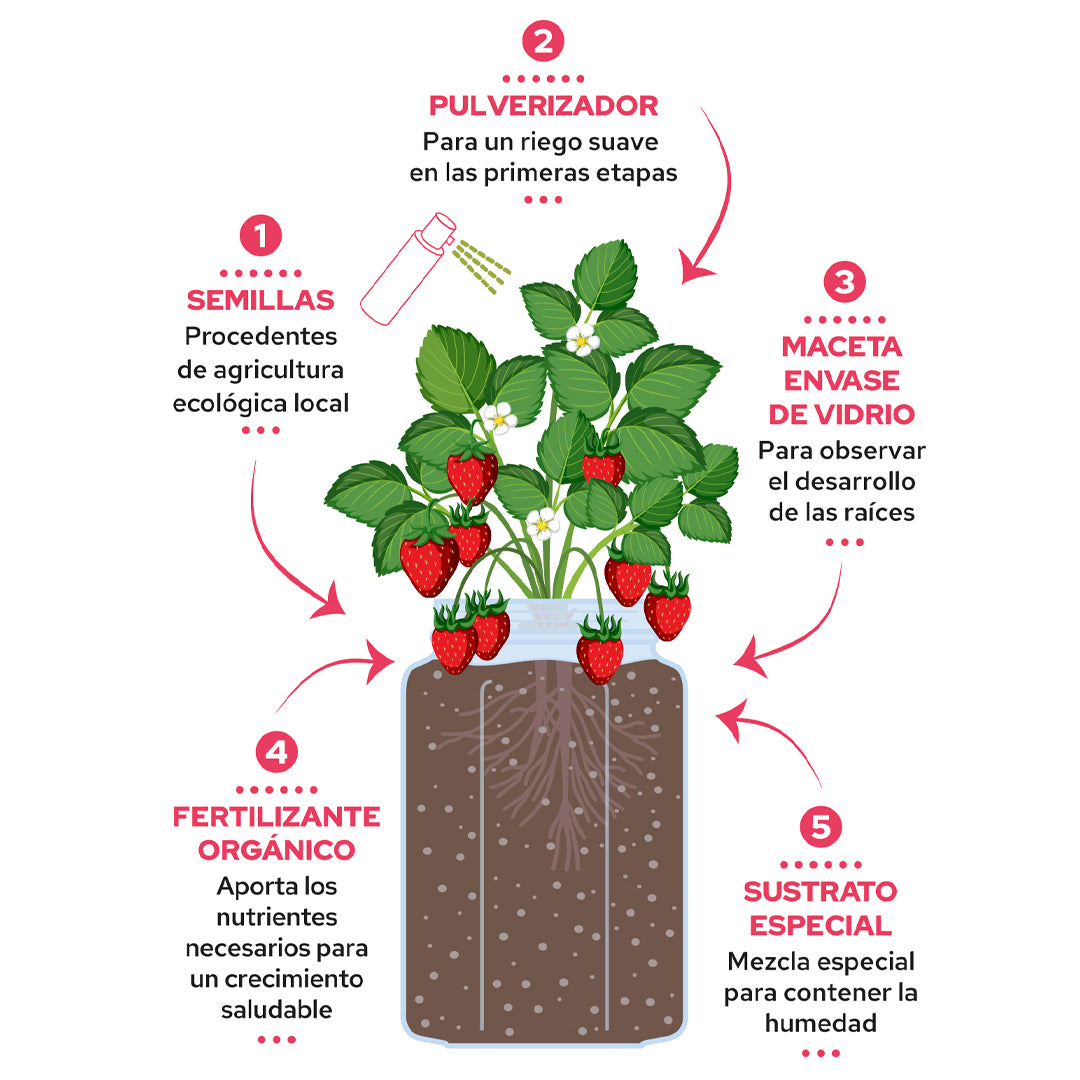 Kit cultivo interior fresas Garden Pocket