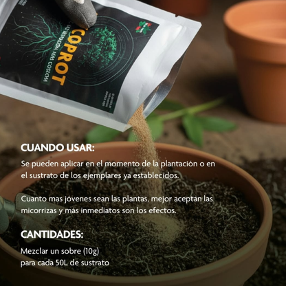 Mycoprot Prot-eco – Micorrizas Ecológicas Para Fortalecer Raíces Y Regenerar El Suelo 🌱_1
