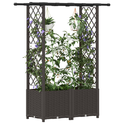 Cama Elevada Con Trellis Y Techo Marrón 124,5 X 40 X 136 Cm Pp_2