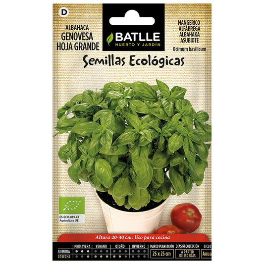Semillas ecológicas de  Albahaca genovèse hoja grande Batlle