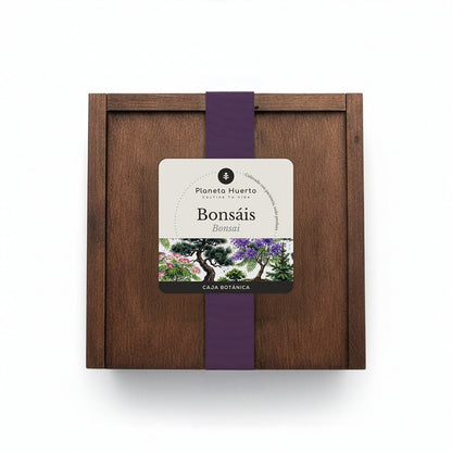 Caja Botánica: Bonsái "Cultivado con paciencia, todo perdura" Planeta Huerto