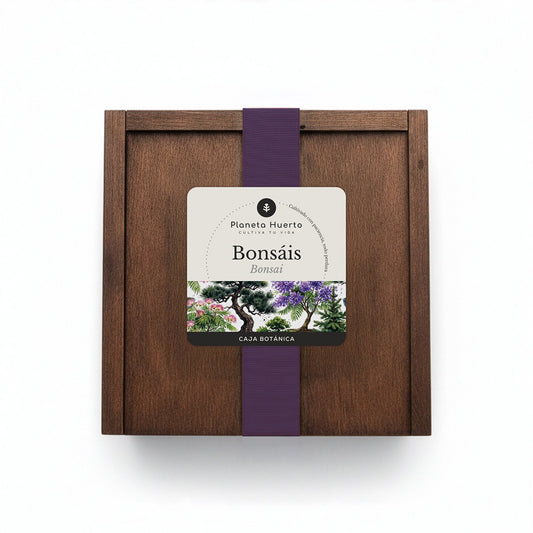 Kit de Cultivo de Bonsáis en Caja de Madera – Regalo Original Planeta Huerto