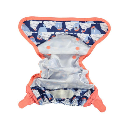 Suportes Pop-in Cover Walrus