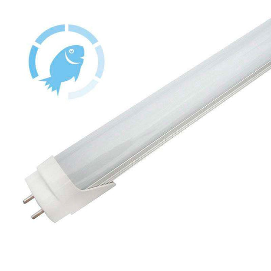 Tubo Led T8, 18w, 120cm, Pescadería, Blanco Frío_0
