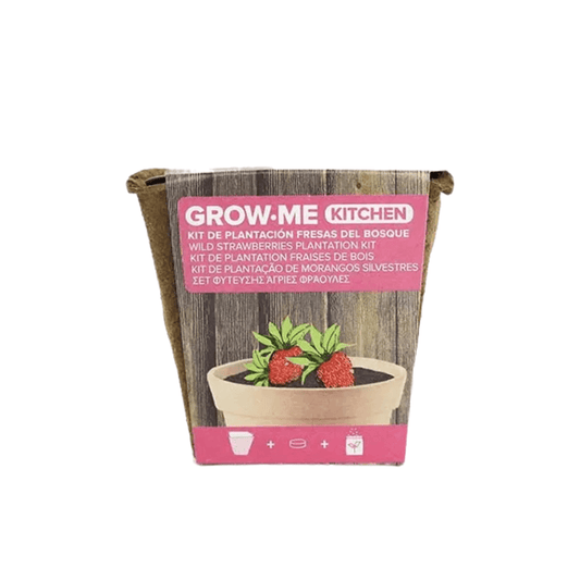 Kit De Cultivo De Fresas Del Bosque Grow Me – Huerto Urbano Ecológico_0