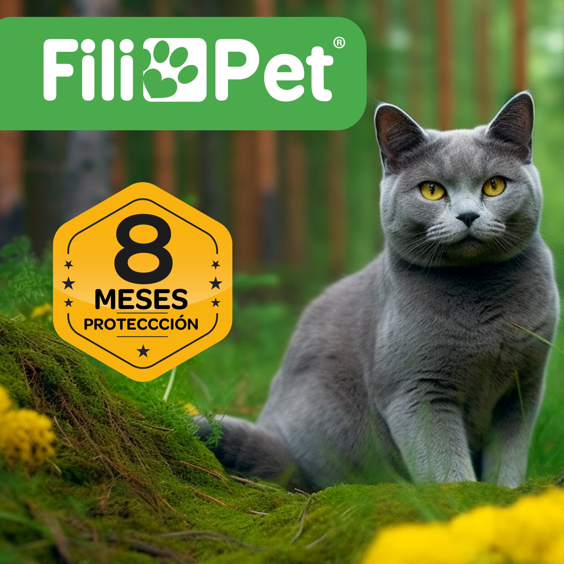 Collar Antiparasitos Para Gato Amarillo_4