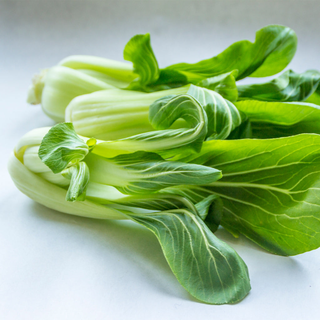 Plantón Pak Choi - PlantaBo_1