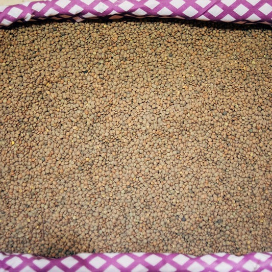 1 Kg de lenteja Pardina_0