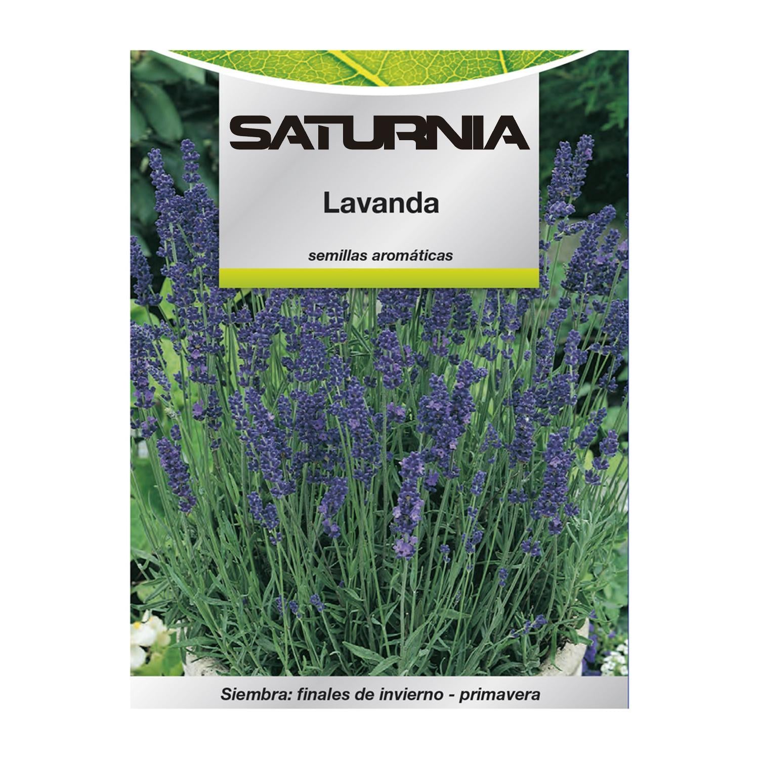 Semillas Aromaticas Lavanda (0.5 Gramos) Horticultura, Horticola, Semillas Huerto._0