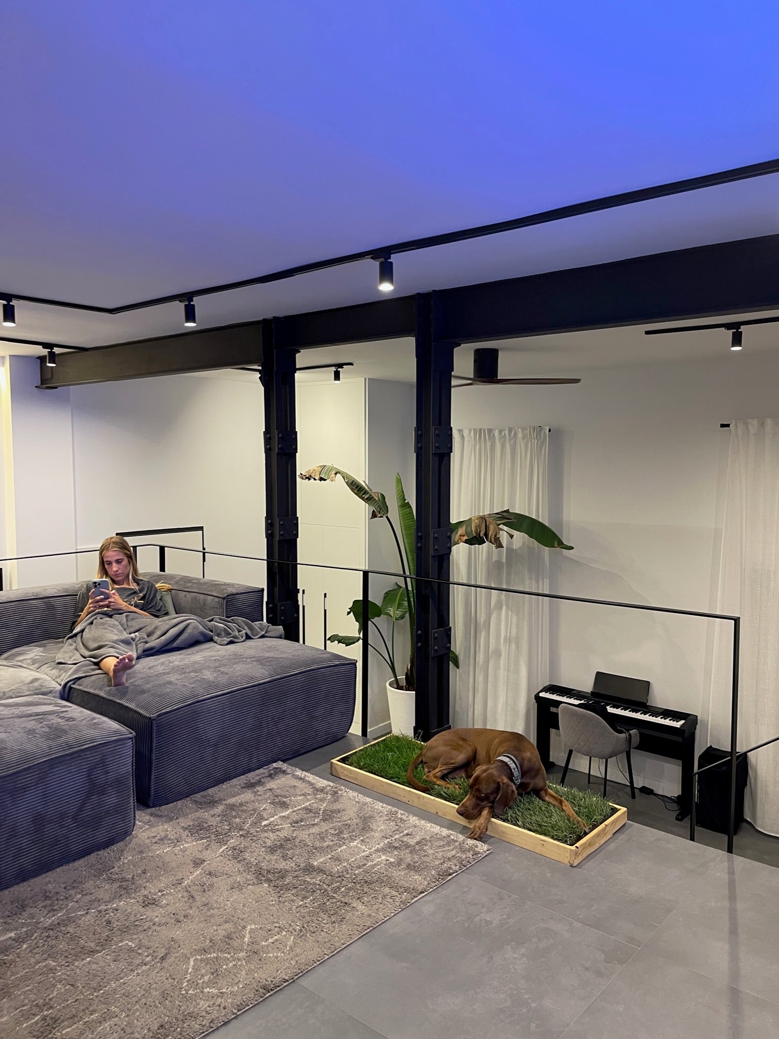 Petground, Cama Para Perros, Caja De Madera, Accesorio, Mueble, Xl_2