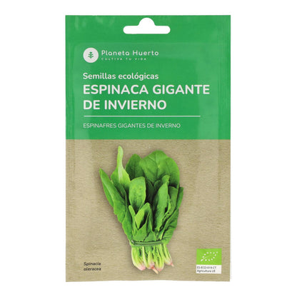 Sementes orgânicas de espinafre gigante de inverno da Planeta Huerto