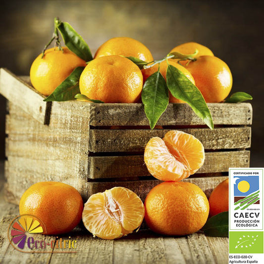 Mandarina Ecológica 10kg._0