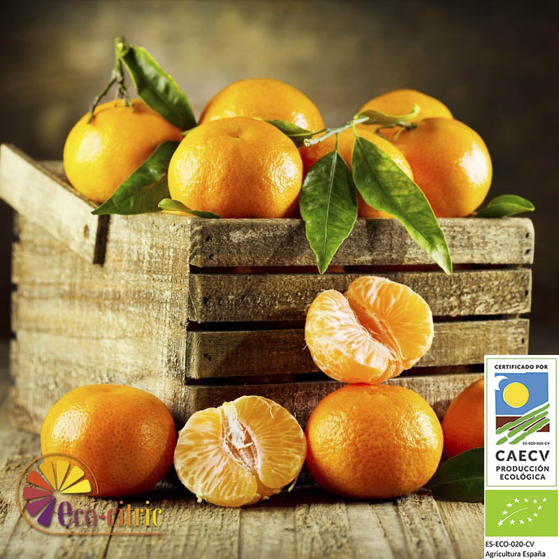 Mandarina Ecológica 10kg._0