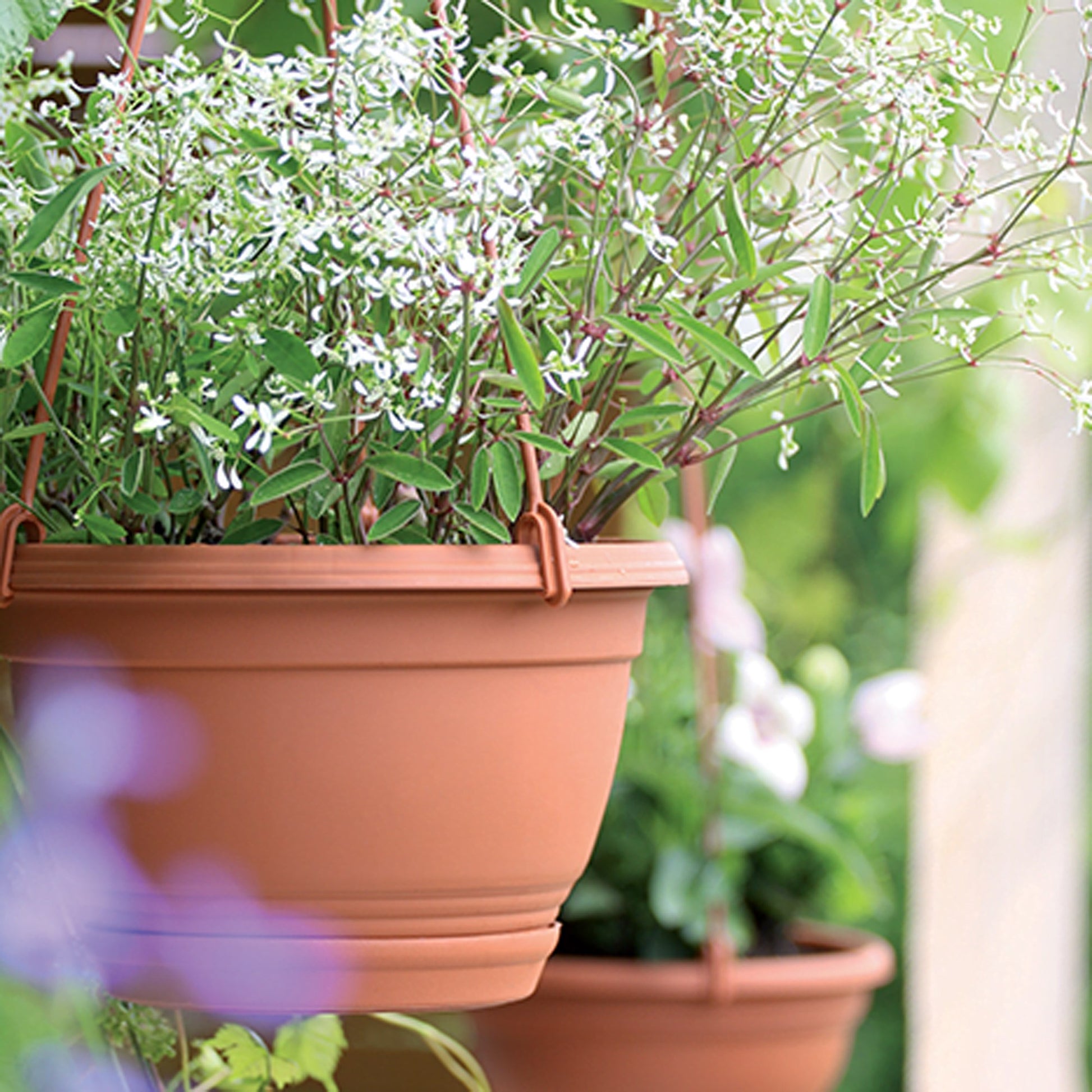 Macetero Colgante Agro 0,8l., Dimensiones (mm) 160x160x100, Color Terracota