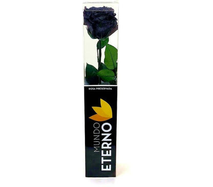Mundo Eterno Rosa Preservada Negra 25cm_1