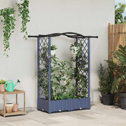 Cama Elevada Con Trellis Y Techo Gris 124 X 40 X 123 Cm Pp_1
