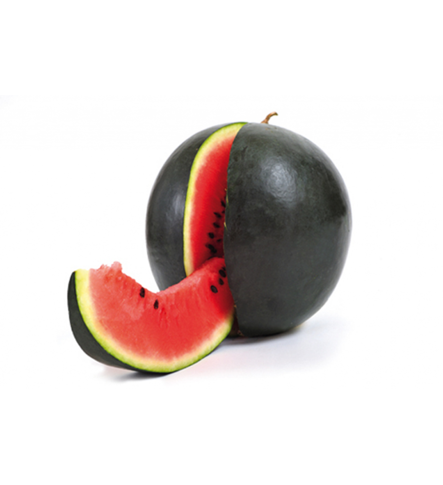 Plantón Sandia Negra (10 Unidades)_0