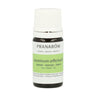 Óleo Essencial Absoluto de Flor de Jasmim Pranarom 5 ml