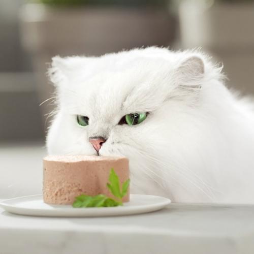 Embalagem de 24 x GOURMET GOLD Mousse Comida Húmida para Peixes do Oceano 85 g