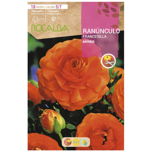 Bolbo de Ranúnculo 10 unidades Rocalba