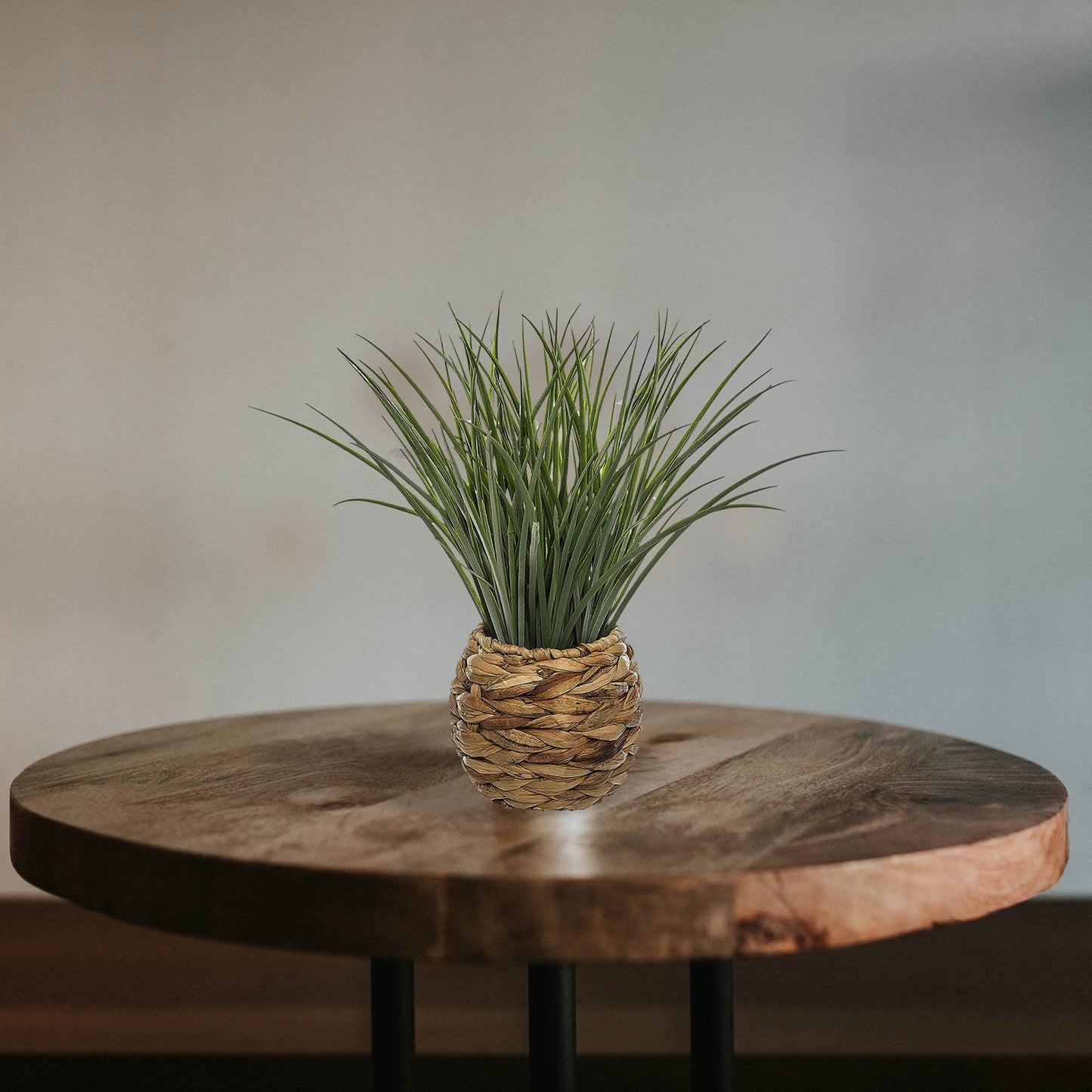 Maceta Decorativa Trenzada De Hojas De Jacinto Y Planta Decorativa