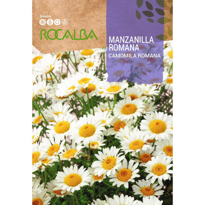 Sementes de Camomila Romana