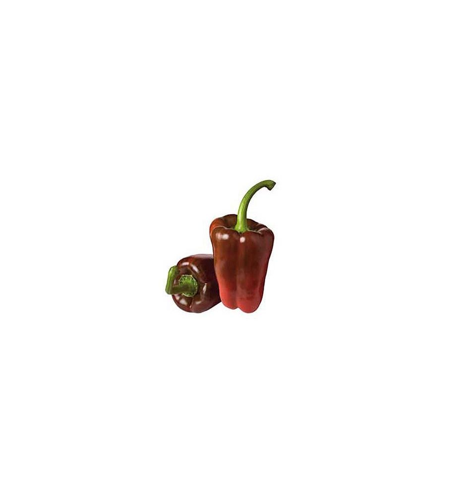 Plantón Pimiento Gordo Infante (10 Unidades)_1