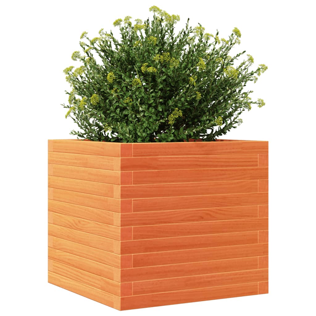Jardinera Exterior Madera Maciza Pino Marrón Cera 50x50x46 Cm_3