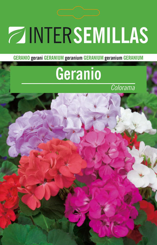 Sobre De Semillas De Geranio Colorama_0