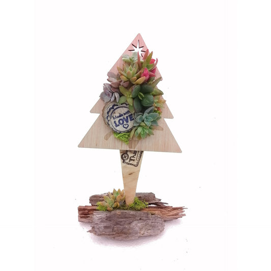 Composição de suculentas Abeto