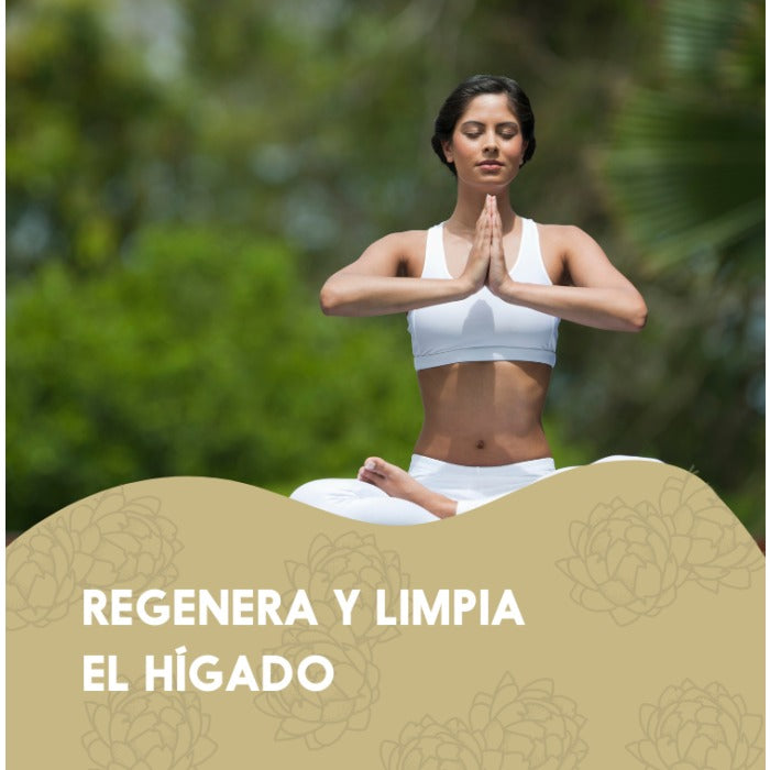 Detox Natur 45 días Hígado N2 Natural Nutrition 90 cápsulas