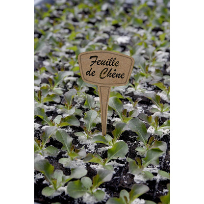 Pack 5 Etiquetas de plantación 30% Fibra Eco