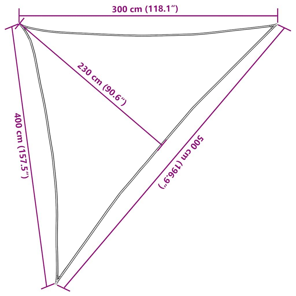 Vidaxl Toldo De Vela Triangular Hdpe Azul 160 G/m² 3x4x5 M_2