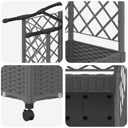 Cama Elevada Con Trellis Y Techo Gris Claro 124 X 40 X 129 Cm_5