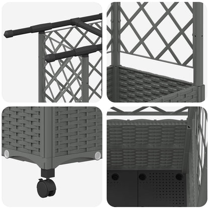Cama Elevada Con Trellis Y Techo Gris Claro 124 X 40 X 142 Cm_5