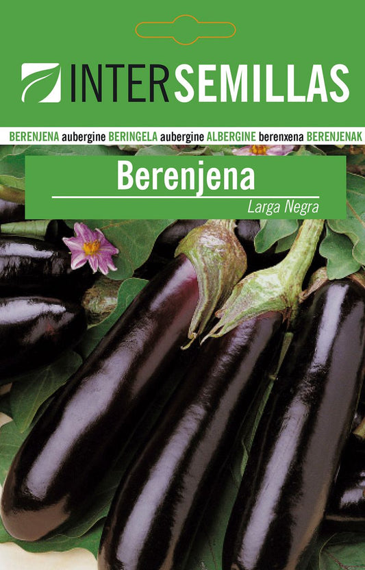 Sobre De Semillas De Berenjena Negra Larga_0