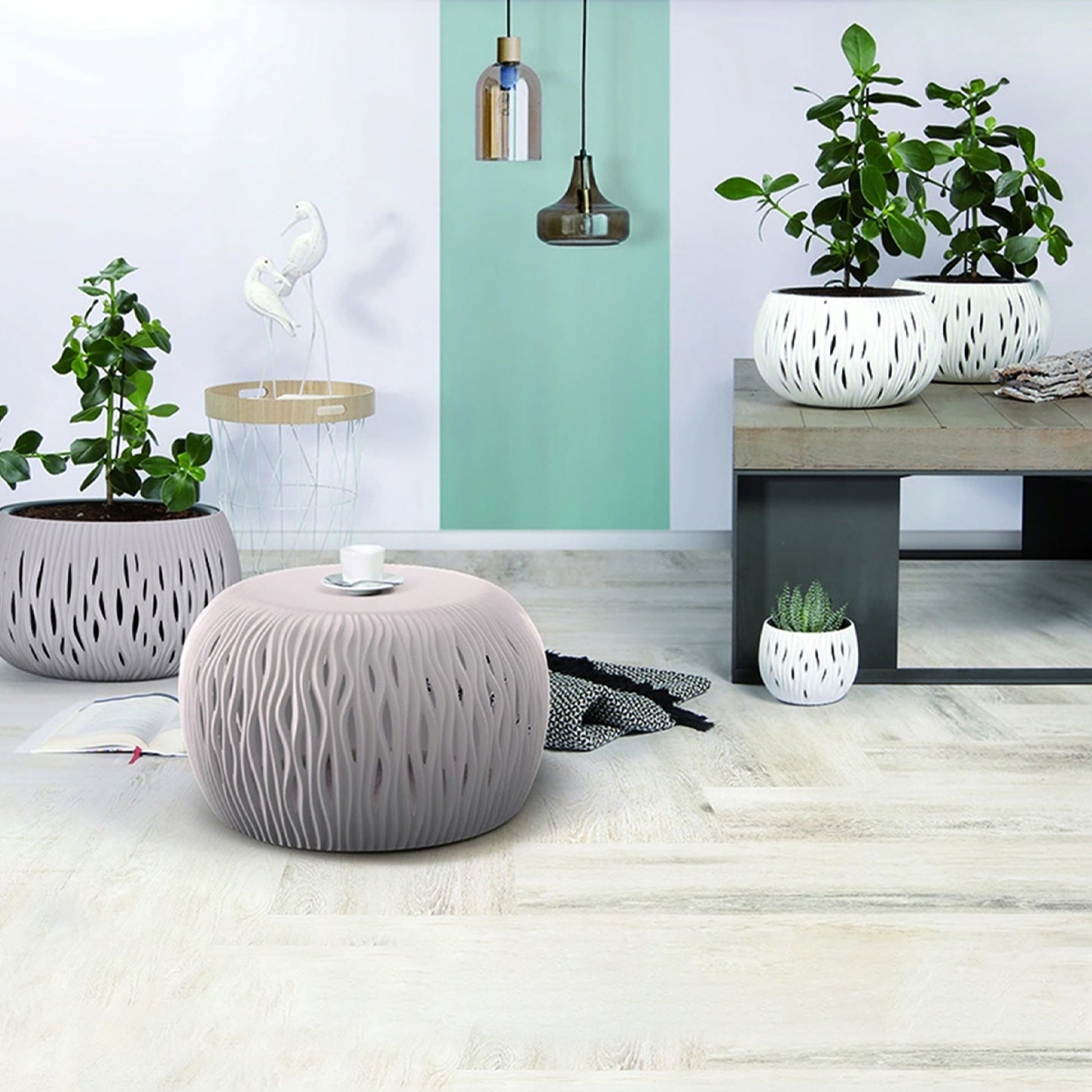 Prosperplast Bowl Sandy De Plástico Con Depósito En Color Antracita, 16,1 (alto) X 23,8 (ancho) X 23,8 (profundo) Cms