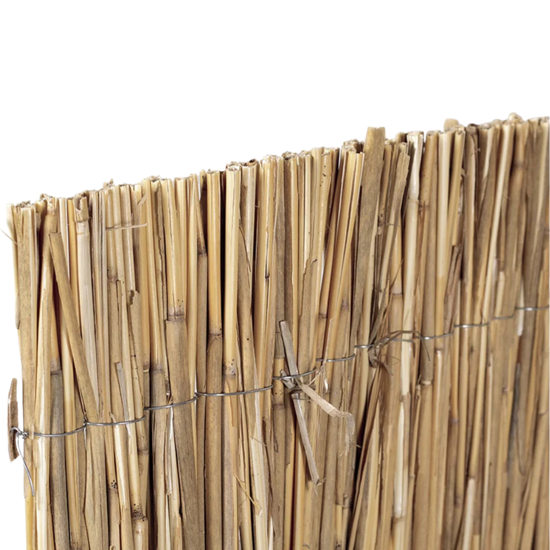 Bambú Pelado Multi Varilla Reed Multi 1x5 M Nortene_1