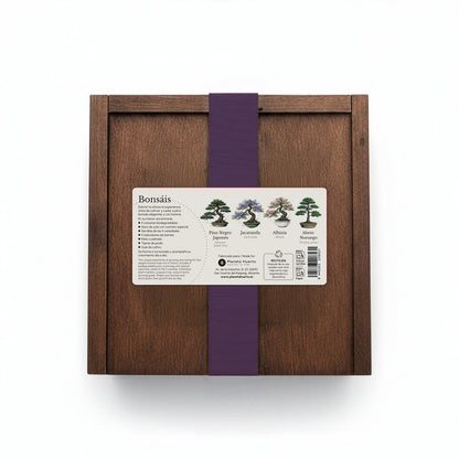 Caja Botánica: Bonsái "Cultivado con paciencia, todo perdura" Planeta Huerto
