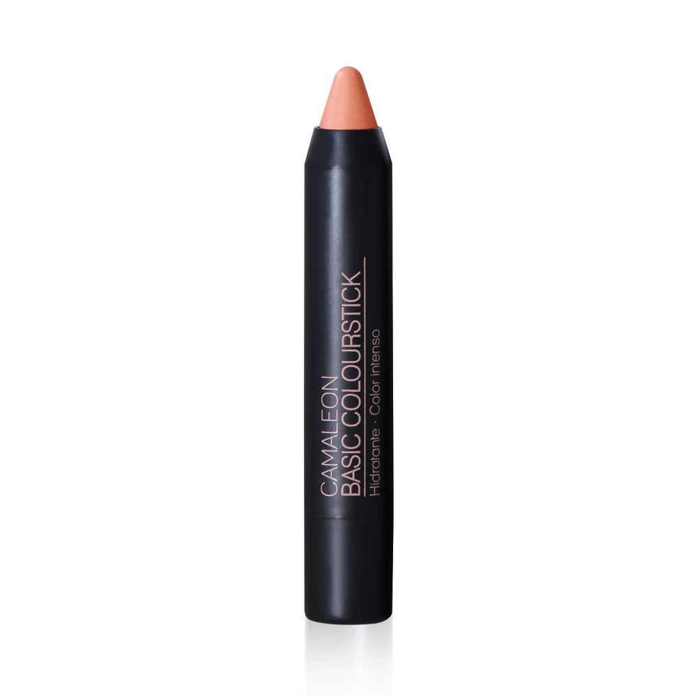 Pintalabios Arena Basic Colourfun 4g Camaleon Cosmetics_0