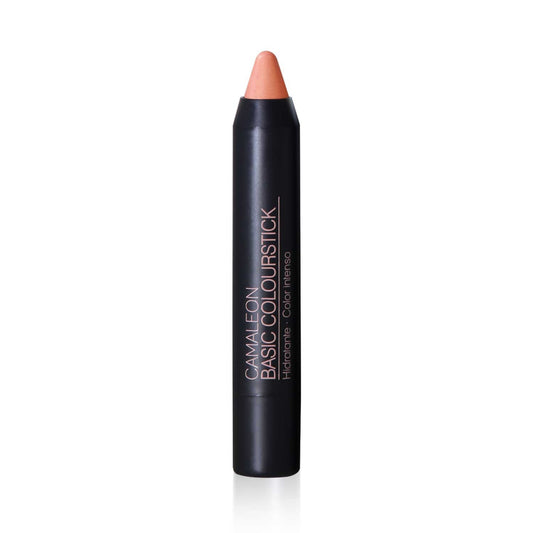 Pintalabios Arena Basic Colourfun 4g Camaleon Cosmetics_0