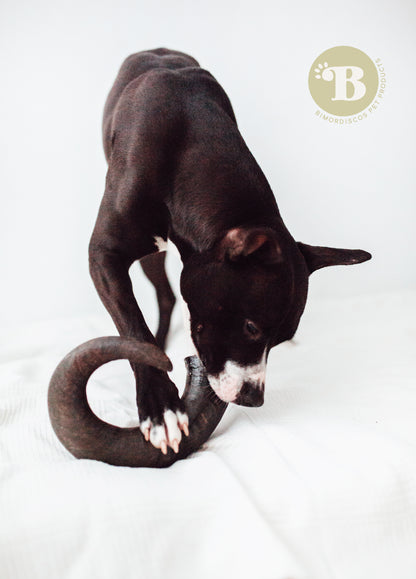 Bimordiscos Cuerno De Búfalo Para Perros.