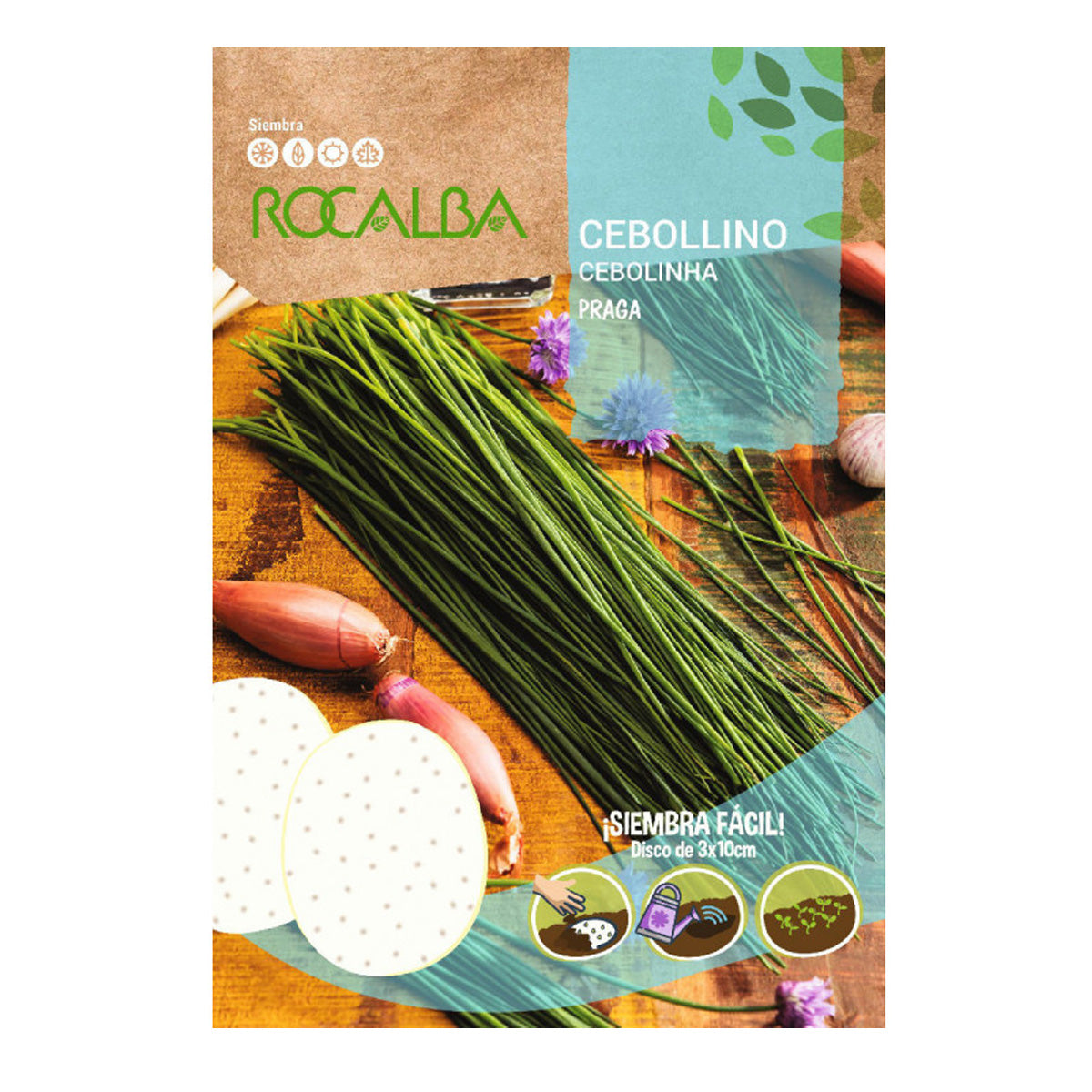 Sementes de cebolinho de Praga em discos, Rocalba