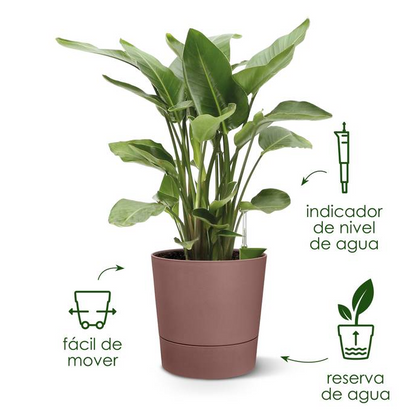 Greensense Aquacare Round Elho vaso auto-irrigável 35 cm cinzento carvão