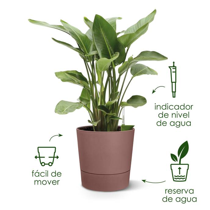 Greensense Aquacare Round Elho vaso auto-irrigável 35 cm betão leve