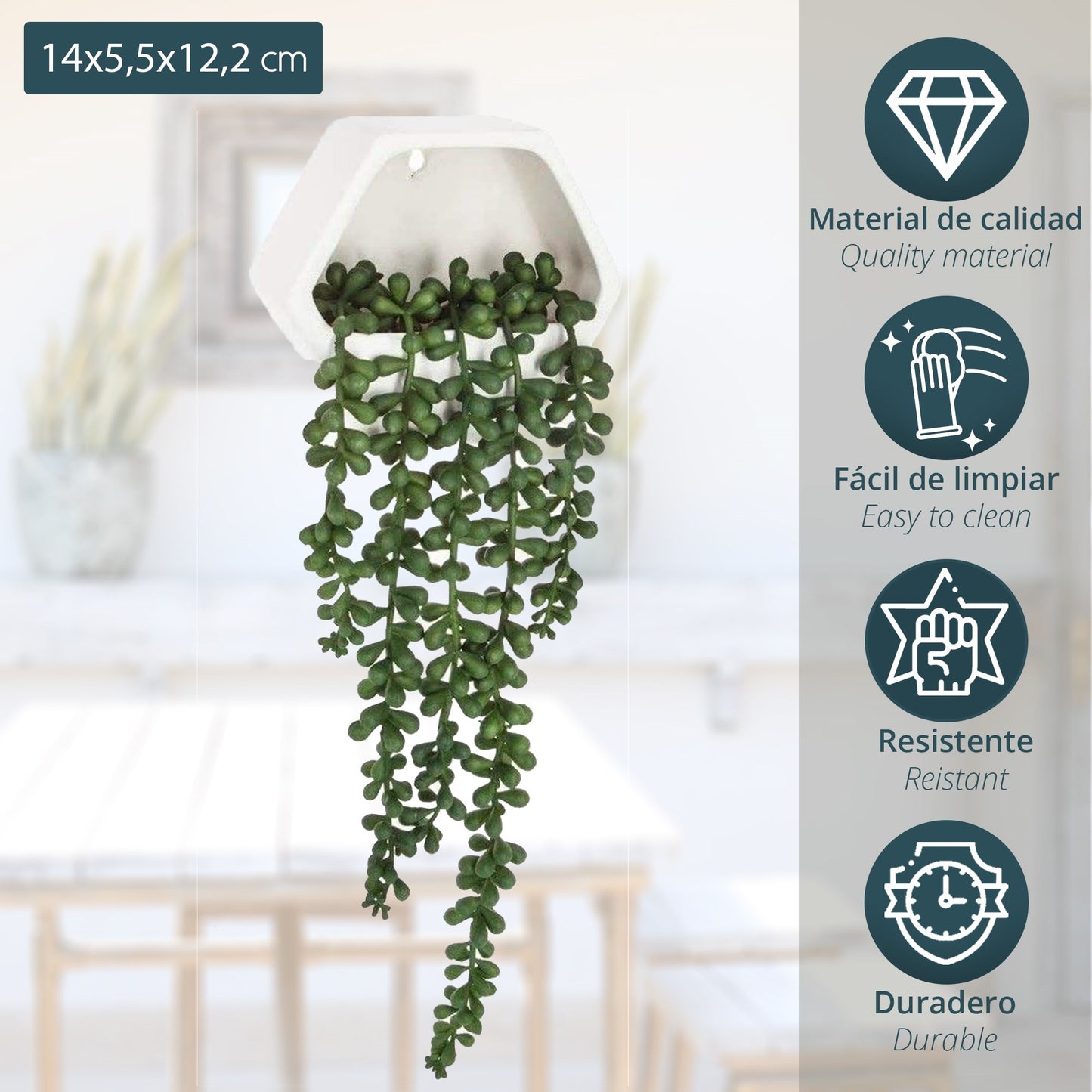 Planta Colgante De Pared Contemporánea- L.14 X P.5.5 X A 45, Verde_1