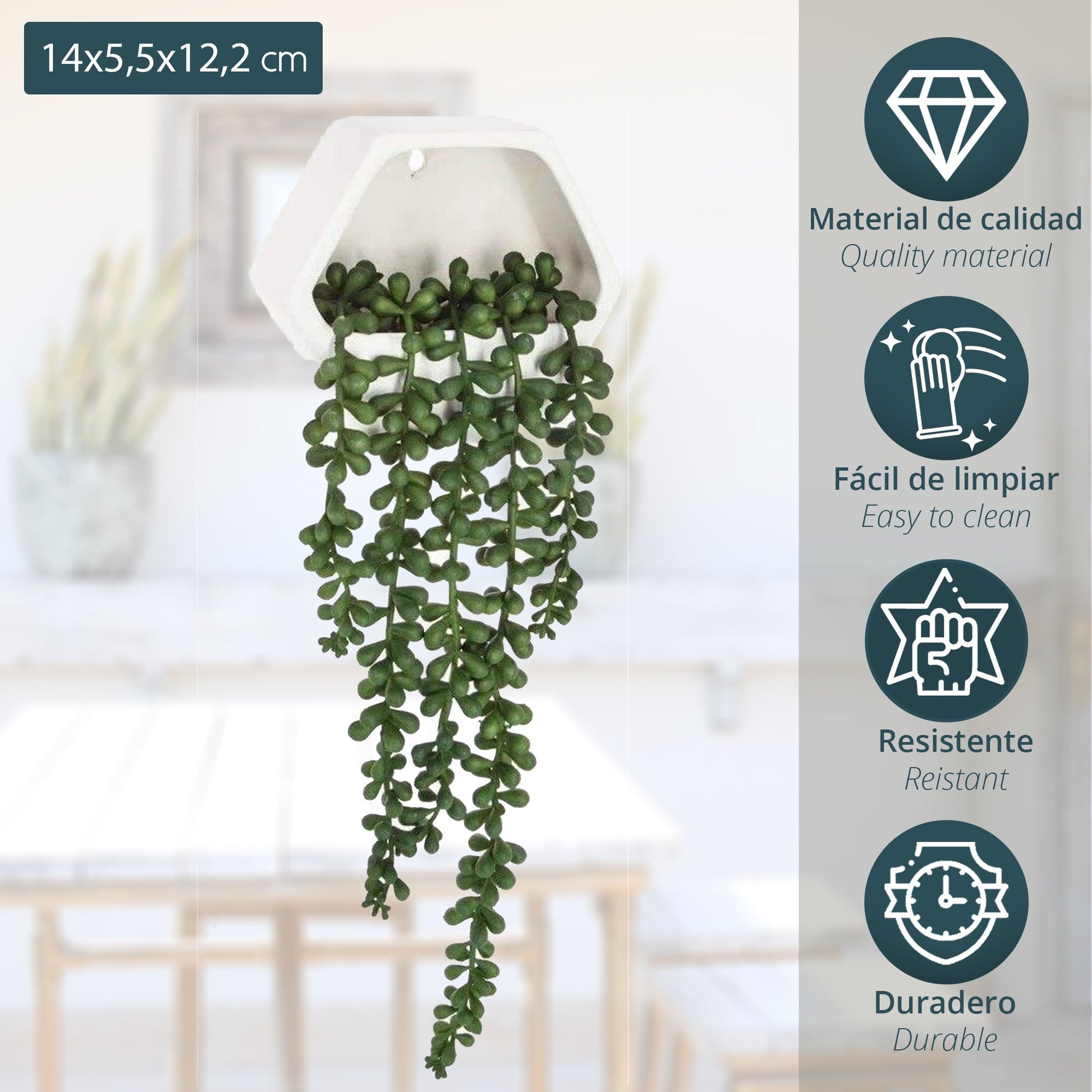Planta Colgante De Pared Contemporánea- L.14 X P.5.5 X A 45, Verde_1