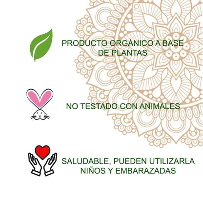 Pó de Henna para Tatuagem Radhe 50g