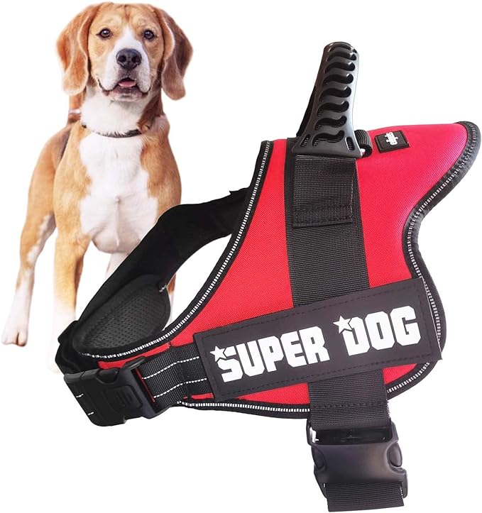 Edipets Arnés Para Perro Antitirones, Ajustable Y Personalizable_0