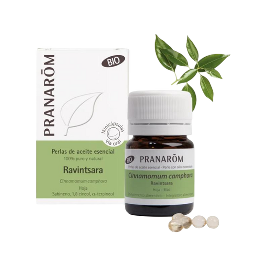 Folha de Pranarom Orgânico Ravintsara 60 Minicápsulas